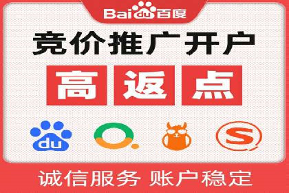 热门充值高返点平台案例分析